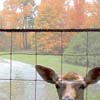 deerblocker